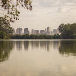 Movimento de médicos quer colocar a saúde na pauta da COP30 e prepara ações que incluem marcha global