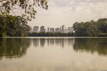 Movimento de médicos quer colocar a saúde na pauta da COP30 e prepara ações que incluem marcha global