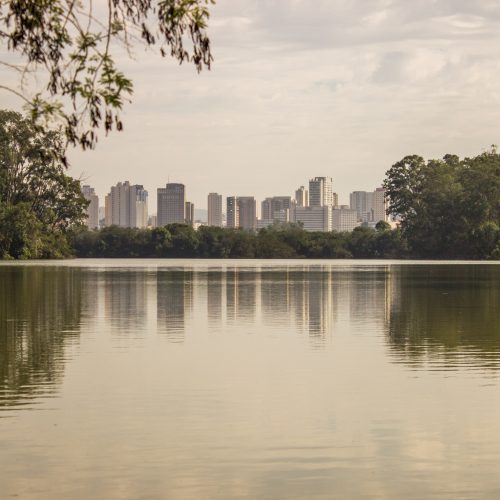 Movimento de médicos quer colocar a saúde na pauta da COP30 e prepara ações que incluem marcha global